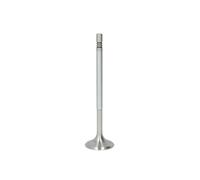 IPSA VL205400 Soupape d'admission