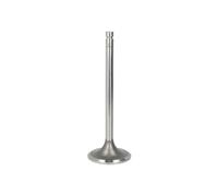 Soupape d'admission PARADOWSCY PCUM001
