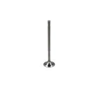 Soupape d'admission PARADOWSCY PMER106