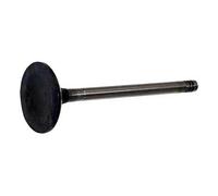 JP Group Soupape d'admission 1111303500 pour VW Passat, Golf, Polo, New Beetle, Transporter