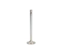 TRW Engine Component 160056 Soupape d'admission