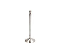 TRW Engine Component 22209 Soupape d'admission