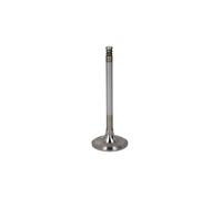 Soupape d'admission TRW 22307