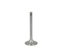 Soupape d'admission TRW 27119