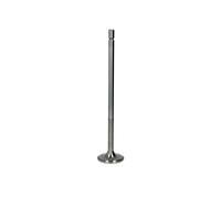 Soupape d'admission TRW 48327