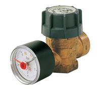 Watts Soupape de chauffe 22L0210134 avec manomètre diamètre 15 x 21 mm