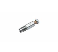 MAGNETI MARELLI 215820002700 Détendeur, système à rampe commune