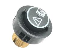 Soupape De Sécurité En Laiton Avec Joint Torique Noir, Compatible Avec Les Aspirateurs Et Nettoyeurs Vapeur Karcher SC4 Et SC5, Pièces Détachées For Appareils Électroménagers(1set)