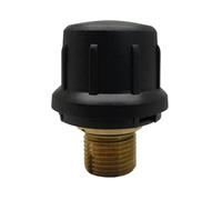 Soupape De Sécurité En Laiton, Compatible Avec Karcher SC1 SC2 CTK10 SC2D, Accessoires For Aspirateurs, Produits Ménagers, Nettoyage, Vente En Gros(1PCS)