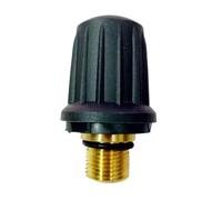 Soupape De Sécurité Vapeur De Rechange, Compatible Avec Karcher, 4.590-105.0 Avec Joint Torique Noir, Fermoir De Fixation For Nettoyeur Vapeur 6.363-279.0(1Pcs)