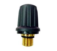 Soupape De Sécurité Vapeur De Rechange, Compatible Avec Karcher, 4.590-105.0 Avec Joint Torique Noir, Fermoir De Fixation For Nettoyeur Vapeur 6.363-279.0(1pcs)