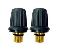 Soupape De Sécurité Vapeur De Rechange, Compatible Avec Karcher, 4.590-105.0 Avec Joint Torique Noir, Fermoir De Fixation For Nettoyeur Vapeur 6.363-279.0(2pcs)