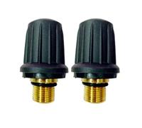 Soupape De Sécurité Vapeur De Rechange, Compatible Avec Karcher, 4.590-105.0 Avec Joint Torique Noir, Fermoir De Fixation For Nettoyeur Vapeur 6.363-279.0(2pcs)