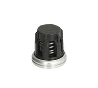 DT Spare Parts 1.10275 Soupape de trop-plein