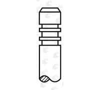 Soupape d'échappement AE V95041
