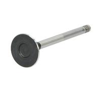 Soupape d'échappement AE V98097