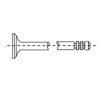 Soupape d'échappement côté échappement Bimétal 553991B CORTECO pour VW SEAT AUDI