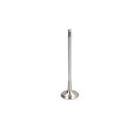FRECCIA R6412/BMCR Soupape d'échappement