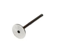 FRECCIA R6529/R Soupape d'échappement