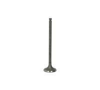 Soupape d'échappement FRECCIA R6541/RNT