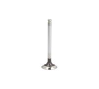 Soupape d'échappement TRW 105-35610