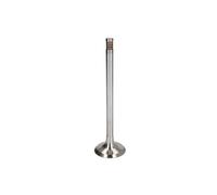 Soupape d'échappement TRW 22155