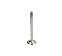 Soupape d'échappement TRW 22320