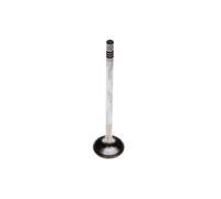 Soupape d'échappement TRW 25305
