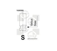 Soupape d'échappement V165391 BGA pour NISSAN MICRA III MICRA C+C III NOTE