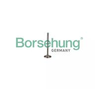 Soupape d'émission Borsehung B19009