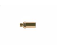 BOSCH 2 417 413 071 Gicleur, injection