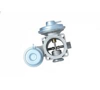 Vanne EGR NRF 48628