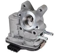 Magneti Marelli Vanne EGR 571822112123 - Compatible avec NISSAN Pathfinder III R51, NP300, Navara