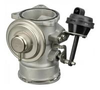 Delphi Vanne EGR EG10409-12B1 sans radiateur – Compatible VW Transporter T5, Passat B5