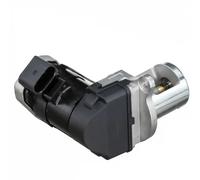 Delphi Vanne EGR EG10485-12B1