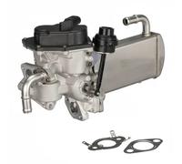 Delphi Vanne EGR EG10576-12B1 avec radiateur
