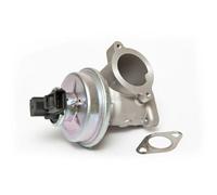 ESEN SKV Soupape EGR 14SKV061