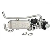 ASHIKA 150-00-0909 Module-EGR