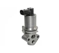 ERA 555046A Vanne EGR