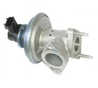 ERA 555243A Vanne EGR