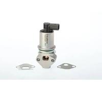 Soupape EGR AGR électrique 710721D BorgWarner (Wahler) pour SEAT SKODA VW