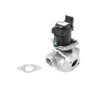 Vanne EGR WAHLER 710927R