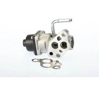 Soupape EGR AGR électrique 710935D BorgWarner (Wahler) pour FORD MAZDA VOLVO