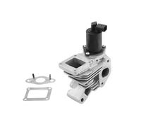 Soupape EGR AGR électrique 710959R BorgWarner (Wahler) pour RENAULT SCÉNIC II