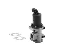 Vanne EGR WAHLER 710960R