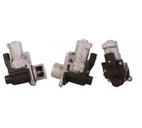 DRI 717730029 Vanne EGR