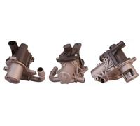 Vanne EGR DRI 717730067
