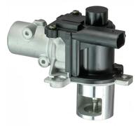 Delphi Vanne EGR EG10425-12B1