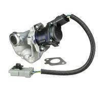 DELPHI EG10434-12B1 Vanne EGR sans radiateur-EGR Compatible avec FORD Focus Mk2 3/5 portes DA, HCP, DP Focus Mk2 Break DA, FFS, DS Focus Mk2 Van/Break