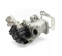 Delphi Vanne EGR EG10437-12B1